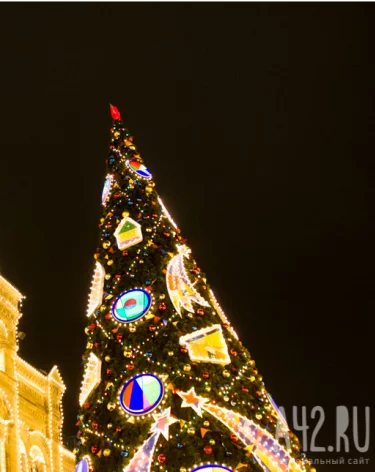 Поиск подарков, подготовка праздничного стола и генеральная уборка: чем планируют заняться россияне перед Новым годом