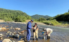 В Кузбассе золотодобытчик заплатил 4,5 млн рублей за ущерб реке и лесу