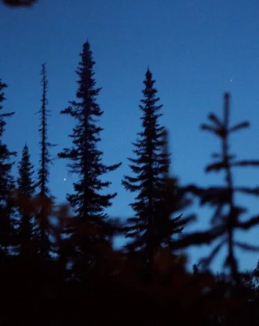 Спасатель назвал ненормальным отсутствие следов пропавшей семьи Усольцевых