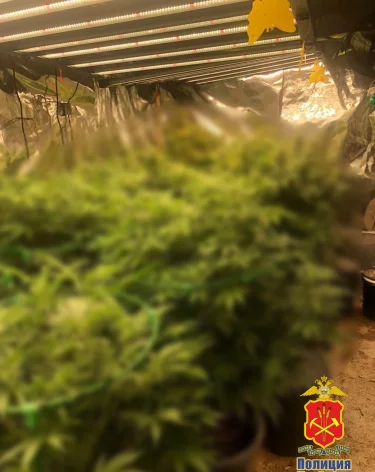 Фото: ГУ МВД России по Кемеровской области