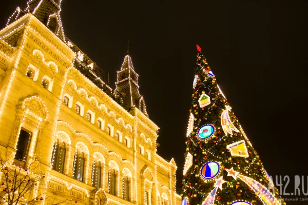 Поиск подарков, подготовка праздничного стола и генеральная уборка: чем планируют заняться россияне перед Новым годом