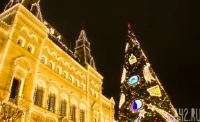 Поиск подарков, подготовка праздничного стола и генеральная уборка: чем планируют заняться россияне перед Новым годом