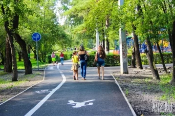Фото: В Кемерове предложили построить хороший парк 1