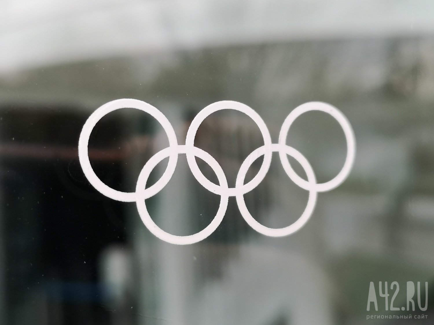 Рэпер Снуп Догг пронёс факел Олимпийских игр в Париже перед их открытием