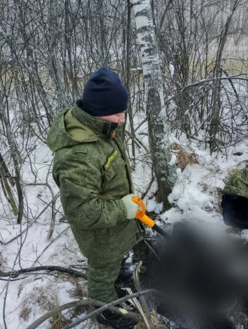 Фото: Искали 5 месяцев: кузбассовец спрятал тело знакомого на болоте 1