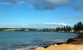 В Австралии попавшей на видео паре пришлось извиняться за секс на пляже