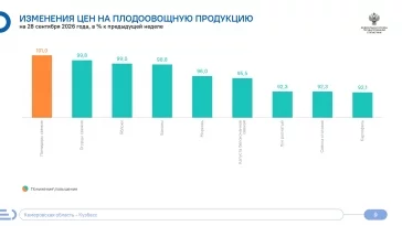 Фото: Кемеровостат: в Кузбассе за неделю картофель подешевел почти на 8% 1