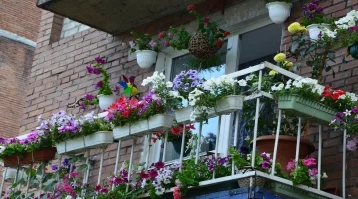 Фото: «Похож на цветущие сады»: Цивилёв предложил провести конкурс на благоустройство балконов 1