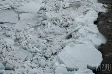 Фото: Очевидцы сообщили о детях, оказавшихся на оторвавшейся льдине во время ледохода на Томи 1