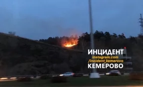 Площадь пожара в кемеровском Сосновом бору составила 700 квадратных метров