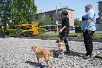 Фото: В Кемерове отремонтируют площадку для выгула собак на улице Дзержинского 1