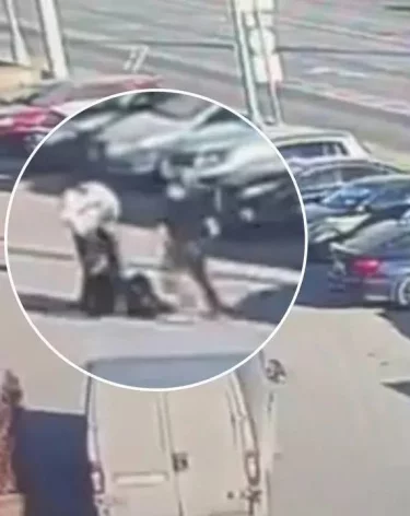 Фото: <a href=https://t.me/skmoscowgsu/6365>ГСУ СК России по Москве</a> / Telegram