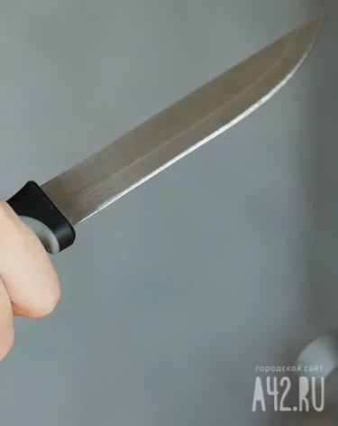 В Кузбассе должник схватился за нож во время встречи с приставами