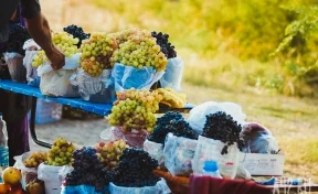 Огурцы или молоко: диетолог объяснила, с чем нельзя есть виноград
