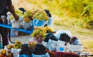 Огурцы или молоко: диетолог объяснила, с чем нельзя есть виноград