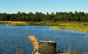 В Тверской области нашли тело утонувшей девочки, которая купалась с родителями в водоёме