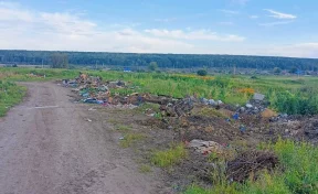 В кузбасском селе ликвидировали стихийную свалку после вмешательства прокуратуры