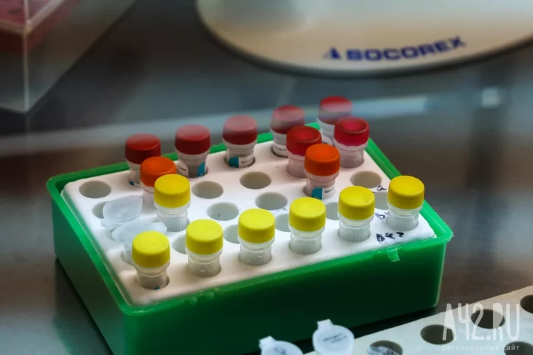 Фото: Когда и брак не гарантия 1