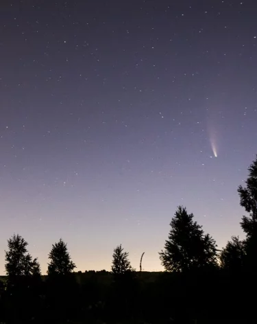 Силы ПВО за ночь сбили около 60 БПЛА над регионами России и Чёрным морем