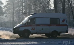 Видео с утренника в Кемерове, на котором умер Дед Мороз, появилось в сети