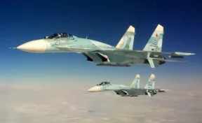 Российский Су-27 отогнал от самолёта Шойгу истребитель НАТО 