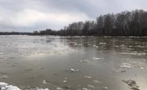 Мэр кузбасского города предупредил о возможном подтоплении садовых участков из-за подъёма реки