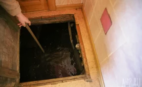 Нашла выход: жительница Кузбасса поселила карпов в затопленном подвале жилого дома