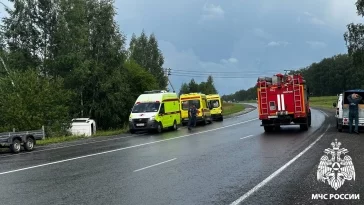 Фото: Микроавтобус выехал с дороги и перевернулся в Кузбассе: МЧС показало кадры с места ЧП 3