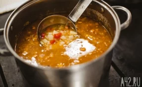 Волосы и мухи в супе: родители кузбасских школьников пожаловались на еду в столовой