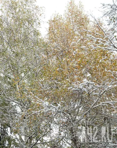 Лонгин Сотник: народные приметы на 29 октября