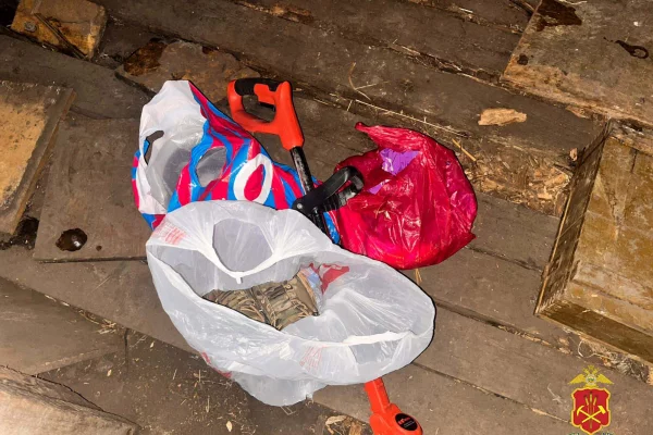 В Кузбассе сборщики металлолома обокрали дачный дом