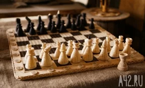 В 19 регионах России введут обязательный урок шахматной игры