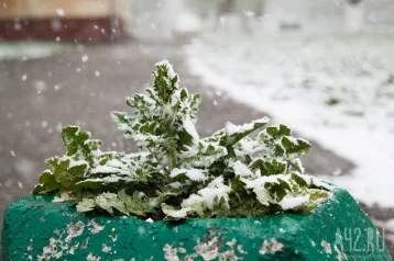 Фото: Дожди и мокрый снег: синоптики Кузбасса дали прогноз на выходные 1