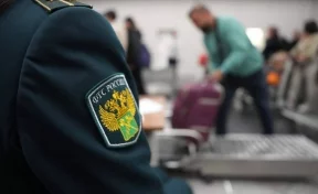 В аэропорту Волгограда у пассажирки изъяли 40 килограммов волос на 4 млн рублей