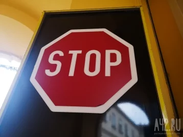 Фото: В Кузбассе на карантин закрыли очередной участок из-за бешенства 1