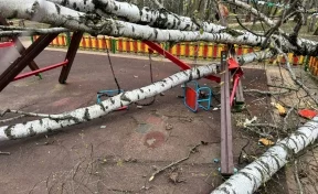 В Подмосковье 2-летнюю девочку на детской площадке придавило дерево