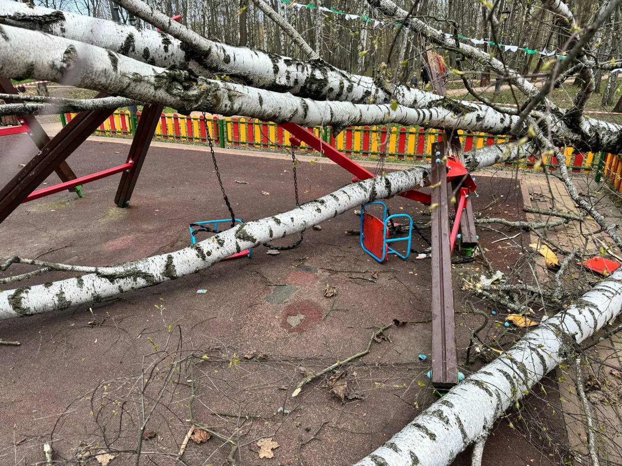 В Подмосковье 2-летнюю девочку на детской площадке придавило дерево
