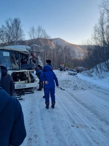 Фото: В Приморье столкнулись междугородний автобус и лесовоз, пострадали 14 человек 1