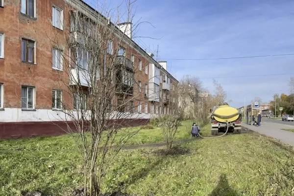 В Кемерове на Инициативной улице по просьбе горожан высадили новые деревья