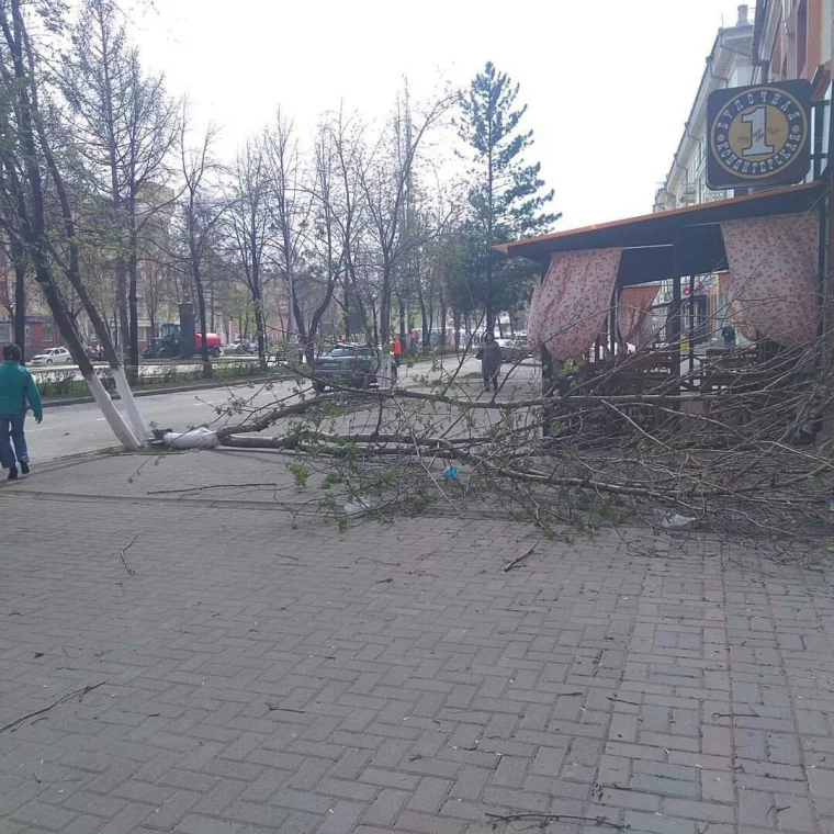 Фото: Ураган в Кемерове: последствия ветра 15
