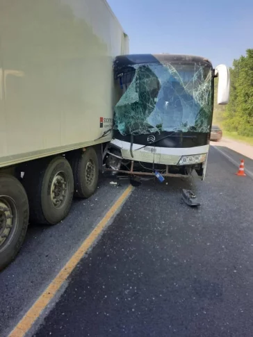 Фото: В Кузбассе в суд ушло дело о жёстком ДТП с участием автобуса на трассе Р-255: пострадала пассажирка 2