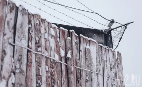 В Госдуме обсудят пожизненное наказание за привлечение детей к диверсиям