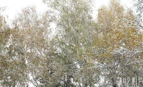 Лонгин Сотник: народные приметы на 29 октября