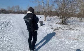 В Хакасии стая собак напала на восьмилетнюю девочку, которая шла в школу по парку