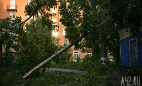 Синоптики прокомментировали сильный шторм в Кузбассе