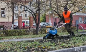 Власти Кемерова потратят более 188 млн рублей на уход за уличными растениями и содержание фонтанов