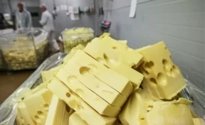 В Кузбассе найден и утилизирован санкционный голландский сыр
