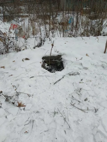 Фото: В Кемерове спасатели вытащили собаку из ямы в Рудничном бору 1