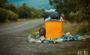 Кузбассовцы жалуются на горы мусора в популярном месте отдыха