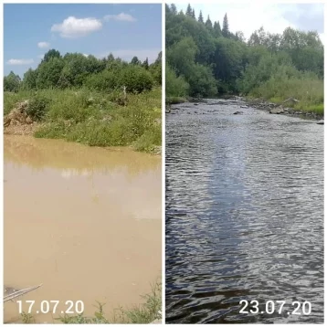 Фото: В Кузбассе золотодобытчики очистили реку после рейда властей 1